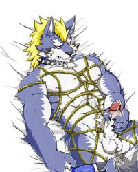 abs alex168wang anal anal_fingering anthro assisted_masturbation balls bed bondage bound canine collar cum disembodied_hand ear_piercing fenrir_(tokyo_afterschool_summoners) fingering lying male male_only mammal mohawk muscular muscular_male nipples on_back pecs piercing rope rope_bondage rope_harness tattoo tokyo_afterschool_summoners wolf