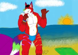 beach bulge canid canine fox majira_strawberry male mammal seaside solo unknown_artist youtuber