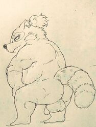 2017 anthro balls belly canine flaccid humanoid_hands hysk male male_only mammal overweight overweight_male penis sengoku_puzzle solo tanuki tokugawa_ieyasu