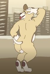 2026 absurd_res anthro backsack balcony balls belly blush blushlines brown_body brown_fur brown_line_art brown_nose brown_pawpads butt canid canine canis city city_background cityscape colored_line_art detailed_background digital_media_(artwork) domestic_dog feet fur genitals hand_on_head hand_on_hip hi_res kounvark male mammal outside pawpads pixel_(artwork) presenting presenting_hindquarters solo standing tail tan_body tan_fur teeth tongue tongue_out white_balls white_belly white_feet white_hands white_tail