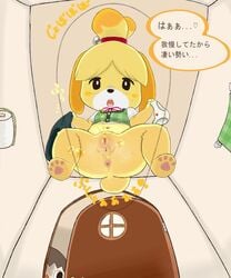 ... 1boy 1girls animal_crossing animal_ears anus ass black_eyes black_hair black_skirt blush_stickers bottomless bow ceiling clitoris dog_ears dog_tail door female flat_chest from_below furry heart holding holding_panties holding_skirt indoors isabelle_(animal_crossing) navel nintendo open_door open_mouth panties panties_removed paws peeing pussy sake_kemosalmon short_sleeves skirt skirt_removed smooth_fur solo_focus spread_legs squat_toilet squatting tail toilet_paper toilet_use topknot towel translation_request uncensored underwear upper_teeth villager_(animal_crossing) white_panties white_sleeves