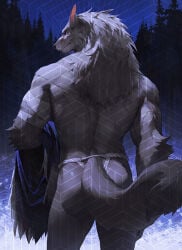 1boy adversarial_noise animal_ears ass bandaged_arm bandages bara biceps blaidd_the_half-wolf cape closed_mouth commentary elden_ring english_commentary fundoshi furry furry_male holding holding_unworn_cape holding_unworn_clothes japanese_clothes looking_at_viewer looking_back luoluokun517 male_focus muscular muscular_male scar scar_on_face tail topless_male unworn_cape veins veiny_arms wolf_boy wolf_ears wolf_tail