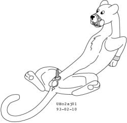 animal_genitalia animal_penis anus balls bdsm bondage bound erection felid feline_genitalia feline_penis feral fur gag gagged genitals hands_behind_back leaning leaning_backward long_tail looking_offscreen low_res male mammal nude_male pantherine penis sheath solo tail urbanhermit
