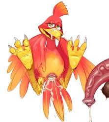 1boy1girl 1girl1boy 1girls 2026 2d 2d_(artwork) 2d_artwork avian balls ballsack banjo-kazooie banjo_(banjo-kazooie) beak bear bird bird_girl breegull cloaca cum cum_in_cloaca cum_on_beak dai_yuurei digital_art digital_drawing_(artwork) digital_media_(artwork) feet female female/male feral feral_female feral_penetrated green_eyes kazooie male male/female microsoft omega_haunter omegahaunter penis red_feathers tagme ursid ursine