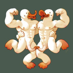 abs anatid anseriform anthro armpit_showing athletic avian avian_feet beak bird caricature curved_penis duck duo erection feet flexing genitals glans hi_res male male/male muscular muscular_male orange_beak orange_feet orange_glans pecs penis ravuer silly_pose simple_background small_eyes smile touching_tips white_body