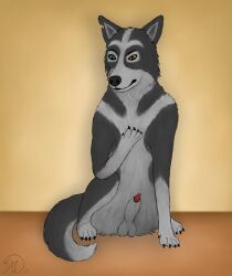 absurd_res animal_genitalia animal_penis balls black_body black_fur canid canine canine_genitalia canine_penis canis claws eyebrows feral fur fur_markings genitals grey_body grey_fur heterochromia hi_res looking_at_paw looking_down looking_down_at_self mak_lykan maklykan male mammal markings penis penis_tip raised_eyebrow sheath sitting sitting_on_ground solo wolf