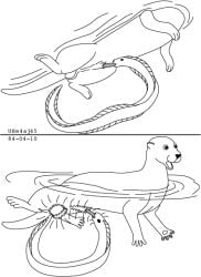 1984 animal_genitalia aquatic balls black_and_white dated duo electric_eel electrocution feral fish genitals interspecies knifefish male male/male mammal monochrome mustelid naked-back_knifefish open_mouth oral otter penis sheath shocked size_difference surprised swimming urbanhermit water