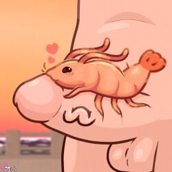1:1 ambiguous_gender antennae_(anatomy) aquatic arthropod balls bestiality blush blush_lines crustacean extreme_size_difference feral genitals heart_eyes heart_symbol human humanoid_genitalia humanoid_penis kissing_penis_tip lying_on_penis macro male male/ambiguous mammal micro micro_on_macro multi_leg multi_limb naked naked_man on_penis orange_body pankatares penis shaded shrimp signature simple_shading size_difference tail testicles vein veiny_penis