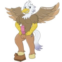 2018 alpha_channel anthro avian balls beak cutie_mark english_text equine erection feathers fur hair hi_res hippogryph hoove hybrid invalid_tag male male_only mammal muscular muscular_male my_little_pony notkastar penis rock signature silver_quill_(character) sketch smile solo text wings