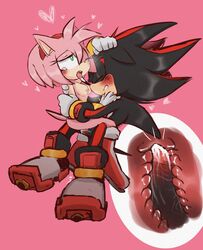 amy rose from sega by momod0ki
