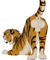 aliena-cordis animal_genitalia balls big_balls big_sheath feline feral fur male male_only mammal open_mouth tiger transparent_background yawn