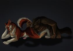 animal_genitalia anthro brown_fur canine claws duo fur hi_res icarus lying male mammal paws penis red_fur simple_background tjin were werewolf wolf yaoi