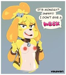 animal_crossing breasts collar flashing isabelle_(animal_crossing) nintendo nipples undressing valavari year_request