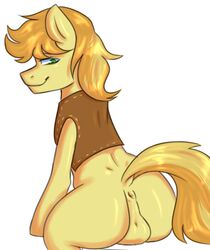 anus ass balls bottomless braeburn_(mlp) clothed clothing equine friendship_is_magic horse looking_back male male_only mammal my_little_pony pony secrets-from-dark simple_background smile solo vest white_background