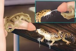 absurd_res ambiguous_gender bodily_fluids crested_gecko cum cum_drip cum_in_mouth cum_inside cum_on_face cumshot dripping ejaculation eublepharid extreme_size_difference fellatio female feral gecko genital_fluids genitals group hi_res human human_on_feral inside interspecies leopard_gecko licking lizard lusttheorydreams male male/ambiguous male/female male/male mammal oral outercourse penile penis penis_lick reptile scalie sex size_difference tongue trio zoophilia
