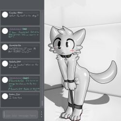 1:1 2025 4_fingers 4_toes anthro biped blush bondage bound boy_kisser_(meme) bulge chat chat_box claws collar collar_tag digital_media_(artwork) english_text feet felid feline felixvulpis fingers glistening glistening_body hi_res implied_chastity latex livestream male mammal meme paws profanity shock_collar simple_background solo story story_in_description tail text toe_claws toes toony white_body white_tail