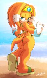 mobian (species) from sonic (series) by bytesduh