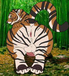 absurd_res anthro anus ass balls feline gay hi_res male male_only mammal nude penis pyc-art rear_view slightly_chubby solo tiger