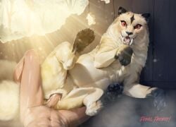 kirara (inuyasha) from asian mythology by aaorin