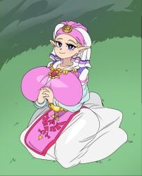 princess zelda from nintendo by captain kirb