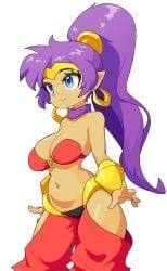 shantae (character) from shantae by sub-neamo
