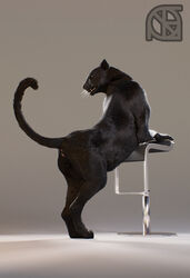 3d animal_genitalia anthro anus ass black_fur chair cosmiclife feline female feral fur mammal panther pinup pose pussy raised_tail realistic semi-anthro solo stool valencia whiskers