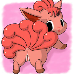 all_fours anus ass black_eyes blush female feral fur looking_back markings multi_tail nintendo pokemon pokemon_(species) presenting presenting_anus presenting_hindquarters presenting_pussy pussy red_fur short_ears shy socks_(marking) solo tack video_games vulpix