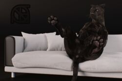 3d animal_genitalia animal_pussy anthro anus ass black_fur black_nose cosmiclife feet feline female feral flat_chested fur hi_res looking_at_viewer mammal panther pawpads paws pinup pose pussy realistic semi-anthro sofa solo spread_legs spreading valencia whiskers