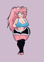 amy_rose female furry long_hair ponytail sega sonic_(series) sonic_the_hedgehog_(series) tha_artisstorm