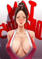 1girls areolae_peeking big_breasts blush fatal_fury female king_of_fighters large_breasts leoquezadilla looking_at_viewer mai_shiranui smile snk