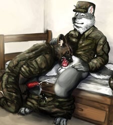 african_wild_dog animal_genitalia animal_penis anthro anthro_on_anthro asraitheome canine cum male mammal military opekun penis sieg_veldt wolf yaoi