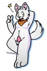 2018 animal_genitalia anthro balls bandana canine character_request erection fur gesture jax_bline male mammal nipples open_mouth original original_character penis simple_background smile solo sushirolldragon v white_fur wolf