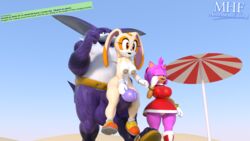 1boy 2018 2girls 2girls1boy 3d 5_fingers aged_up amy_rose animal_ears anthro balls beach belt big_balls big_ears big_penis big_the_cat black_nose boots bracelets breasts brown_eyes brown_nose clothed clothing cream_the_rabbit dialogue dress erection eyelashes feline female footwear fur gloves group hairband hedgehog hi_res huge_penis humanoid_hands lagomorph long_ears male mammal moorsheadfalling panties pantyshot penis pink_fur purple_fur rabbit rabbit_ears riding sandals seaside sega shoes sonic_(series) sonic_heroes sonic_team straight tan_fur team_rose text trio underwear video_games white_gloves white_panties white_underwear