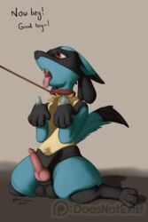 2018 3_toes 4_fingers animal_genitalia balls begging black_balls black_fur blacktail_(theandymac) blue_fur canine collar dipstick_ears dipstick_tail drooling fur gloves_(marking) good_boy hi_res kneeling knot leash lucario male male_only mammal markings multicolored_tail nintendo open_mouth penis pet_praise petplay pokemon pokemon_(species) red_eyes roleplay saliva sheath signature slave solo tan_fur text theandymac toes tongue tongue_out video_games watermark