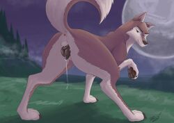 absurd_res aleu anatomically_correct anatomically_correct_genitalia anatomically_correct_pussy animal_genitalia animal_pussy anus ass balto_(series) bodily_fluids canid canine canine_genitalia canine_pussy canis domestic_dog female feral genital_fluids genitals hi_res hybrid lidded_eyes looking_at_viewer looking_back mammal outside pawpads presenting presenting_hindquarters pussy raised_tail rear_view reminic solo solo_focus spread_legs spreading tail universal_studios vaginal_fluids wolf wolfdog