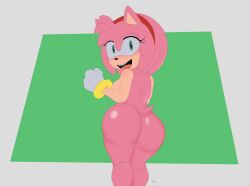 amy rose from sonic (series) by caminacarro4000