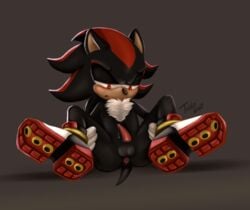 animal_genitalia animal_penis anus hedgehog male male_only mammal penis shadow_the_hedgehog solo sonic_(series) tobbywolf