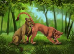 claws closed_eyes cunnilingus day detailed_background disney duo eyebrows feline female female_feral feral forest fuzzymaro grass happy hindpaw lion mammal open_mouth oral outside paws pussy raised_tail sex side_view standing the_lion_king tongue tongue_out tree vaginal_penetration vitani yuri