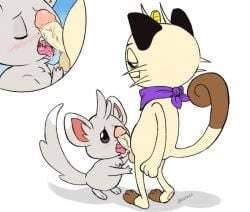 ambiguous_gender blush closed_eyes cock_worship cum fellatio furry hi_res kinkmilk male meowth minccino penis pokémon_(species) pokemon pokemon_(species) saliva saliva_string semi-anthro tagme