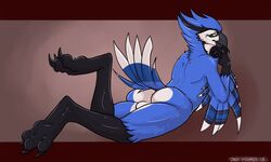 2018 3_toes anthro ass avian balls beak bird black_beak blue_feathers blue_jay corvid danji-isthmus feathered_wings feathers feet male male_only nate_that_army_burd nude paws solo talons toes white_balls wings