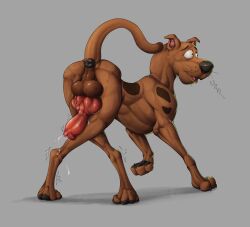 absurd_res animal_genitalia animal_penis anus backsack balls bodily_fluids brown_body canid canine canine_genitalia canine_penis canis claws domestic_dog erection feral genital_fluids genitals hanna-barbera hi_res knot male mammal paws penis perineum precum quadruped scooby-doo scooby-doo_(series) solo tail tochka vein veiny_penis