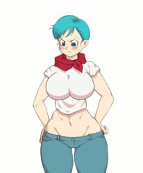 1girls abs angry animated animated_gif big_breasts blue_eyes blue_hair blush bouncing_breasts breasts bulma_briefs dragon_ball dragon_ball_super dragon_ball_z embarrassed female female_only gif hands_on_hips huge_breasts human impossible_clothes jay-marvel jeans midriff milf mother muscular muscular_female pale_skin pants scarf short_hair simple_background solo source_request thick_thighs thigh_gap tight_clothing tight_jeans tight_pants wide_hips