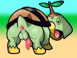 1boy all_fours green_eyes green_skin male non-human non-human_body non-human_head non-human_only open_mouth penis pokemon presenting shell solo standing tapering_penis tongue yellow_sclera