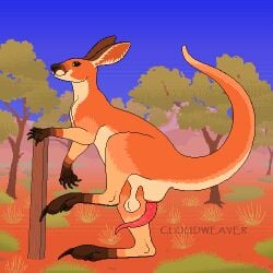 1:1 anatomically_correct anatomically_correct_feet anatomically_correct_genitalia anatomically_correct_penis animated balls balls_above_penis blinking bodily_fluids bouncing bouncing_balls bouncing_ears cloudweaver_(artist) countershading digital_media_(artwork) dithering feral fur genital_fluids genitals green_eyes kangaroo kangaroo_genitalia macropod male male_only mammal marsupial nature nature_background on_one_leg orange_body orange_fur outback penis pixel_(artwork) pixel_animation precum precum_on_foot precum_on_penis precum_squirt precum_string red_kangaroo solo standing tapering_penis tapering_tail vein veiny_penis