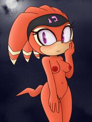 shade the echidna from sonic (series) by hearlesssoul
