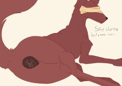 absurd_res animal_ears animal_genitalia animal_vulva bandage blind canid canine canine_genitalia canine_vulva canis disability english_text female feral genitals hi_res jackal looking_back mammal presenting presenting_vulva red_body ria_(sasers) sasers solo tail text vulva wide_hips