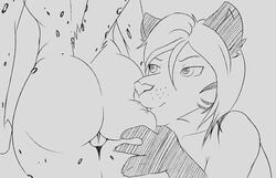 anthro anthro_on_anthro anus ass biting canine close_up couple duo feline female fur hybrid kathrin_(twokinds) keidran leopard leopard_spots male mammal neon_mitsumi presenting pussy simple_background smile snow_leopard spots spotted_fur straight twokinds unknown_artist