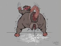 4:3 against_surface against_wall anal_orgasm anal_prolapse andromorph anthro anus ass bared_teeth big_butt blush bodily_fluids claws ejaculation faroutboy female genital_fluids genitals hands-free hi_res huge_butt huge_thighs intersex male mammal masturbation messy motion_lines multicolored_body murid murine orgasm plump_labia prolapse puddle puffy_anus rat rodent scratches sex shaking solo sweat tail tail_fetish tail_play tail_sex thick_thighs vaginal_fluids vaginal_prolapse vaginal_squirting vulva