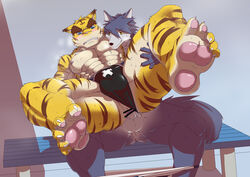 abs absurd_res anal balls blush canine censored clothing feline gay hi_res husky kouya_(morenatsu) male mammal morenatsu muscular muscular_male nipples pawpads pecs rotton sex speedo swimsuit tiger torahiko_(morenatsu) underwear underwear_aside yaoi