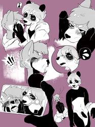 ! 2018 4_fingers anthro bardeaux bear blush cum cum_on_face duo erection gauge hair hi_res male mammal musical_note open_mouth oral panda purple_background red_panda sequence sex simple_background sweat tongue yaoi